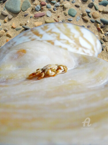 Fotografia zatytułowany „Inception tiny crab…” autorstwa Cédric Hajiji, Oryginalna praca, Manipulowana fotografia