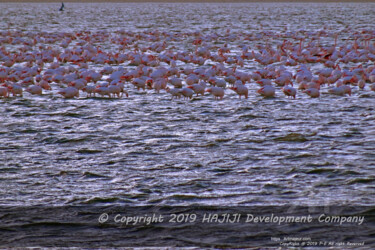 제목이 "Fresh HDR group of…"인 사진 Cédric Hajiji로, 원작, 조작된 사진