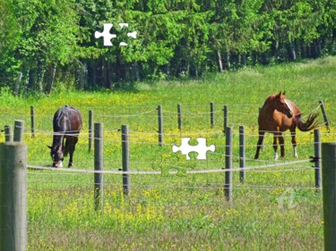 Fotografie mit dem Titel "Countryside natural…" von Cédric Hajiji, Original-Kunstwerk, Digitale Fotografie