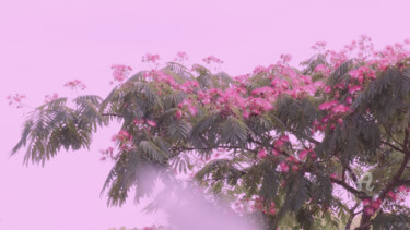 Фотография под названием "Pink filter on bloo…" - Cédric Hajiji, Подлинное произведение искусства, Цифровая фотография
