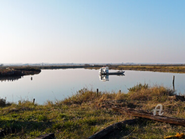 Fotografía titulada "Oyester landscape n…" por Cédric Hajiji, Obra de arte original, Fotografía digital