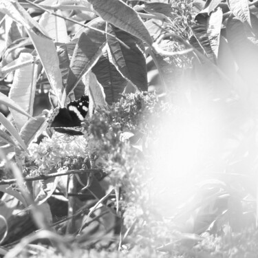 Fotografia intitulada "Black and white det…" por Cédric Hajiji, Obras de arte originais, Fotografia digital