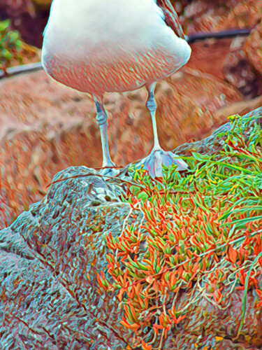 Фотография под названием "Web Footed bird and…" - Cédric Hajiji, Подлинное произведение искусства, Цифровая фотография