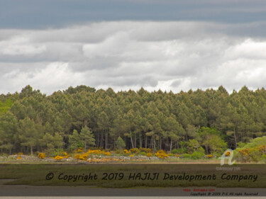 Fotografie getiteld "HDR nat landscape m…" door Cédric Hajiji, Origineel Kunstwerk, Digitale fotografie