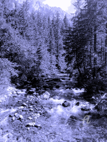 Photography titled "blue river and tall…" by Cédric Hajiji, Original Artwork, Digital Photography