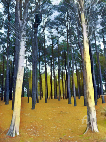 Fotografia zatytułowany „Forest illustration…” autorstwa Cédric Hajiji, Oryginalna praca, Manipulowana fotografia