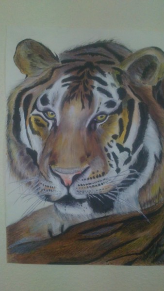 Peinture intitulée "tigre" par Cedric Moreau, Œuvre d'art originale