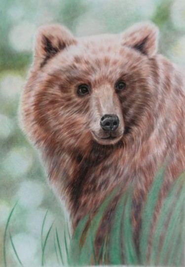Dessin intitulée "Un ours blond" par Célestine Brunon, Œuvre d'art originale, Crayon
