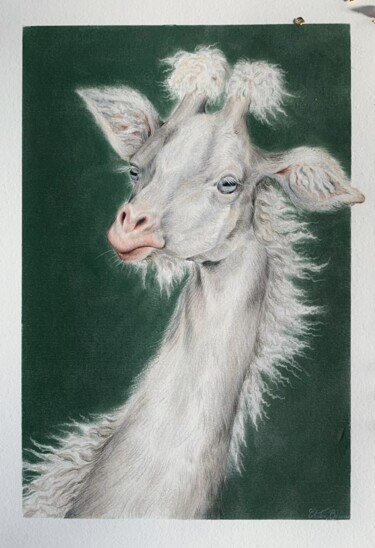 图画 标题为“Girafe laineuse d'E…” 由Célestine Brunon, 原创艺术品, 铅笔