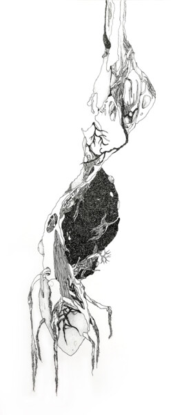 Zeichnungen mit dem Titel "En suspens" von Céline Argence, Original-Kunstwerk, Tinte