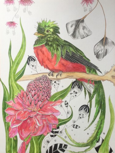 Dessin intitulée "Quetzal et rose de…" par Celine Conti, Œuvre d'art originale, Aquarelle