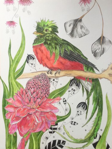 Drawing titled "Quetzal et rose de…" by Celine Conti, Original Artwork, Watercolor