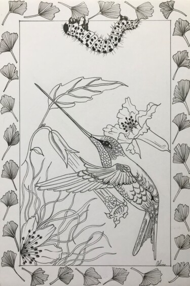 Drawing titled "Colibri et chenille" by Celine Conti, Original Artwork, Ink