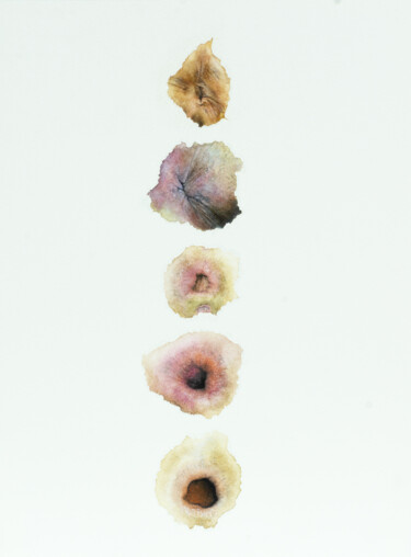 Dessin intitulée "Anus 04" par Céline Jérémy Turlotte Bindi, Œuvre d'art originale, Aquarelle