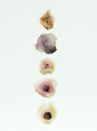 Drawing titled "Anus 04" by Céline Jérémy Turlotte Bindi, Original Artwork, Watercolor