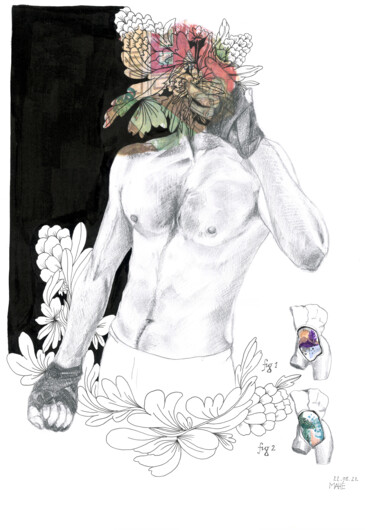 「Planche anato-botan…」というタイトルの描画 Céline Maheによって, オリジナルのアートワーク, インク