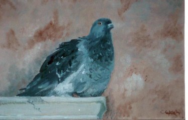 Schilderij getiteld "PIGEON A MURANO" door Céline Laforêt, Origineel Kunstwerk, Olie