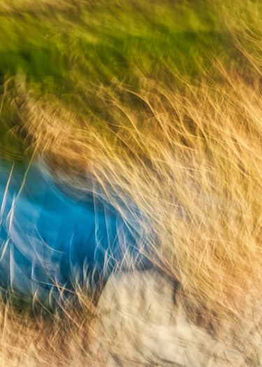 Herbe et salin Photographie intitulée "Herbe et salin" par Céline Pivoine Eyes, Œuvre d'art originale, Photographie numérique