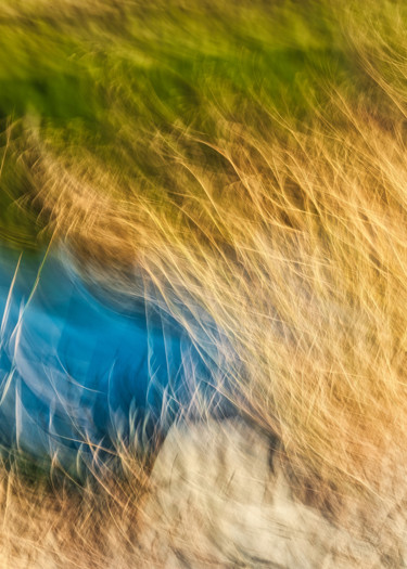 Photographie intitulée "Herbe et salin" par Céline Pivoine Eyes, Œuvre d'art originale, Photographie numérique