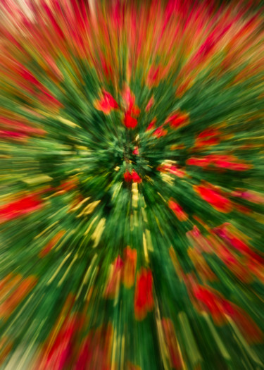 Le massif de fleurs rouges Photographie intitulée "Le massif de fleurs…" par Céline Pivoine Eyes, Œuvre d'art originale, Photographie numérique