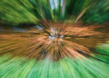 Photographie intitulée "La bruyère" par Céline Pivoine Eyes, Œuvre d'art originale, Photographie numérique