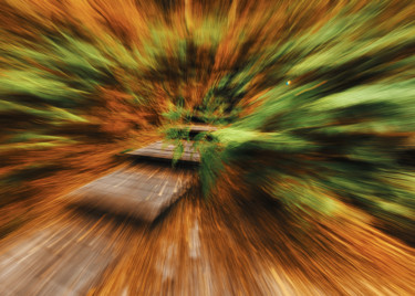 Photographie intitulée "Escalier de forêt" par Céline Pivoine Eyes, Œuvre d'art originale, Photographie numérique