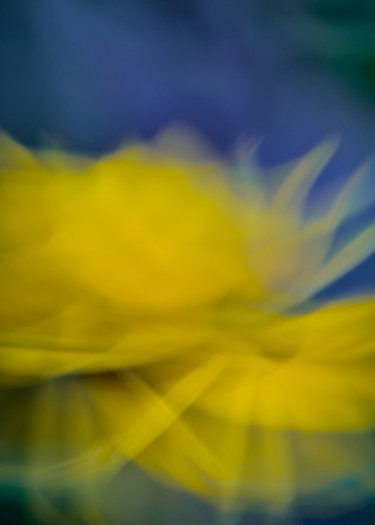 Photography titled "La fleur jaune" by Céline Pivoine Eyes, Original Artwork, Digital Photography