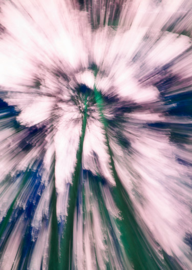 L’arbre rose Photographie intitulée "L’arbre rose" par Céline Pivoine Eyes, Œuvre d'art originale, Photographie numérique