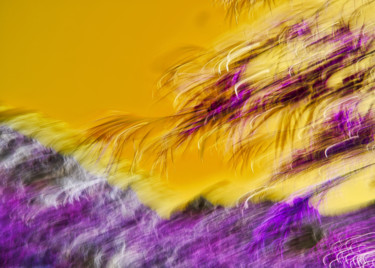 Photographie intitulée "Branches en ICM" par Céline Pivoine Eyes, Œuvre d'art originale, Photographie numérique