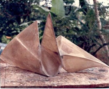Sculpture titled "tensão" by Celso Cunha Neto, Original Artwork