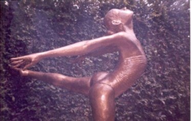 Sculpture titled "ballet" by Celso Cunha Neto, Original Artwork