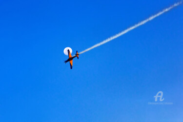 Photographie intitulée "Fly" par Celso Lobo, Œuvre d'art originale, Photographie numérique