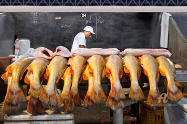 Fotografía titulada "Yellow Hake" por Celso Lobo, Obra de arte original, Fotografía digital