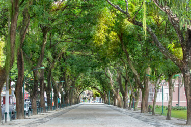 Photography titled "Hose Tunnel" by Celso Lobo, Original Artwork, Digital Photography