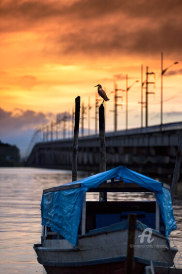 Photographie intitulée "Waiting for the sun" par Celso Lobo, Œuvre d'art originale, Photographie numérique