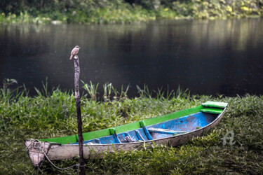 Fotografía titulada "En attendant que la…" por Celso Lobo, Obra de arte original, Fotografía digital