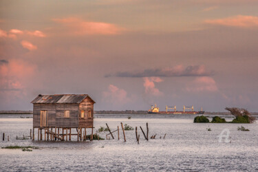 Fotografia intitulada "Amazon River" por Celso Lobo, Obras de arte originais, Fotografia digital