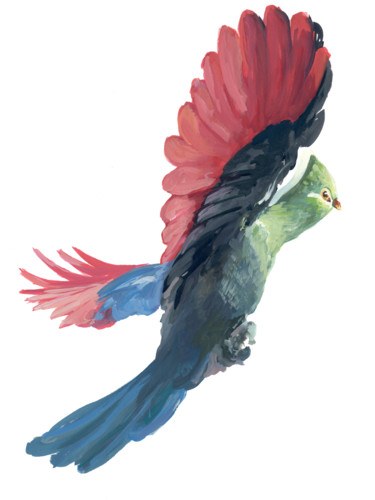 Peinture intitulée "grand-oiseau-ailes-…" par Pascal Cerchiario, Œuvre d'art originale, Gouache