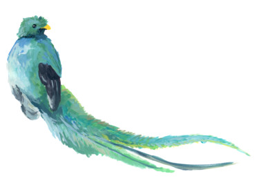 Peinture intitulée "quetzal.jpg" par Pascal Cerchiario, Œuvre d'art originale, Gouache