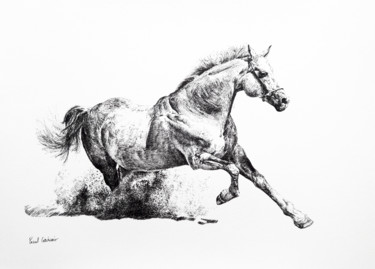 Dessin intitulée "cheval.jpg" par Pascal Cerchiario, Œuvre d'art originale, Encre