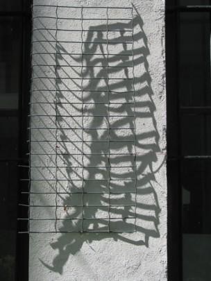 Photographie intitulée "Scarabée" par Charley Supper-Bertho, Œuvre d'art originale