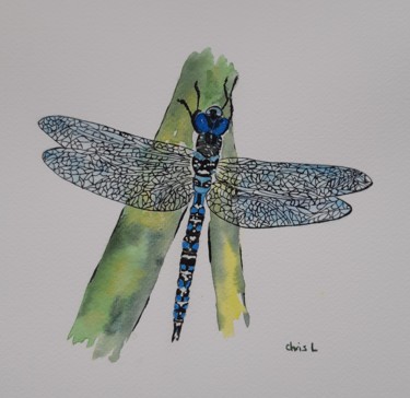 Peinture intitulée "La libellule bleue" par Christel Bous Legent, Œuvre d'art originale, Aquarelle