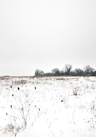 Photographie intitulée "sous la neige" par Dominique Chagny, Œuvre d'art originale