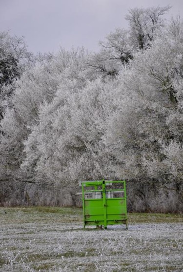 Photographie intitulée "vert01" par Dominique Chagny, Œuvre d'art originale