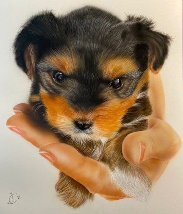 Painting titled "Yorkshie Puppy" by Johan De Champs, Original Artwork, Airbrush