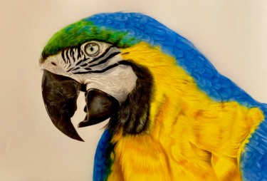 Ara Portrait Pintura titulada "Ara Portrait" por Johan De Champs, Obra de arte original, Aerógrafo