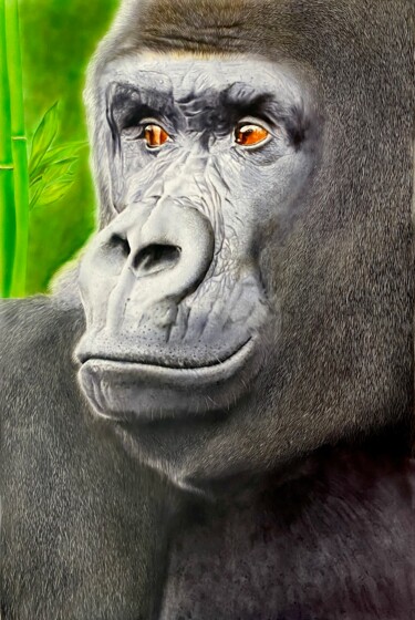 Schilderij getiteld "Gorilla Big" door Johan De Champs, Origineel Kunstwerk, Acryl