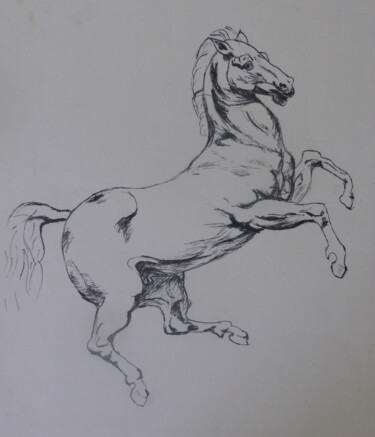 Drawing titled "Cheval sauvage" by Chantal Macé, Original Artwork, Ink Mounted on Other rigid panel