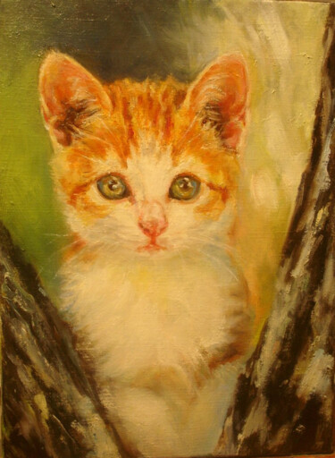 Peinture intitulée "chaton" par Chantal Signorini (C.Signorini), Œuvre d'art originale, Huile