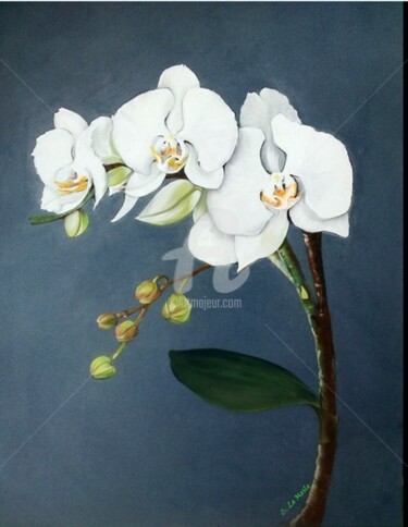 Peinture intitulée "Les Orchidées" par Chantal Le Mesle, Œuvre d'art originale, Pastel